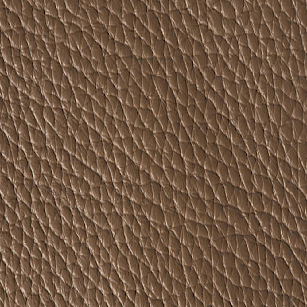 Top Grain Leather example 2